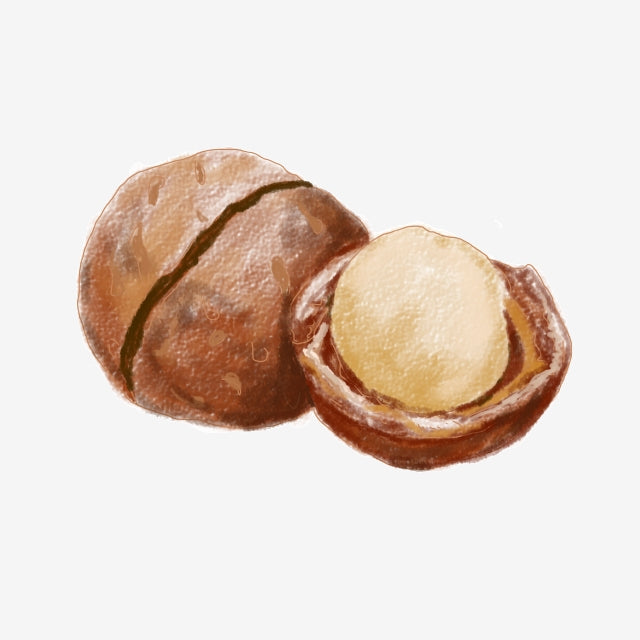 Macadamia