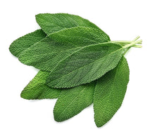 Carregar imagem no visualizador da galeria, Salvia Folhas
